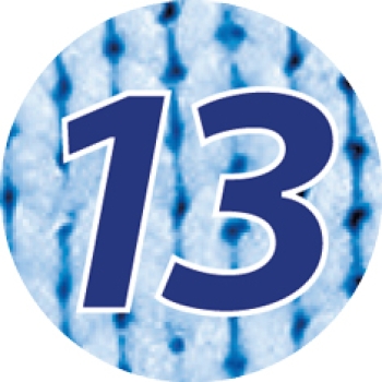 13